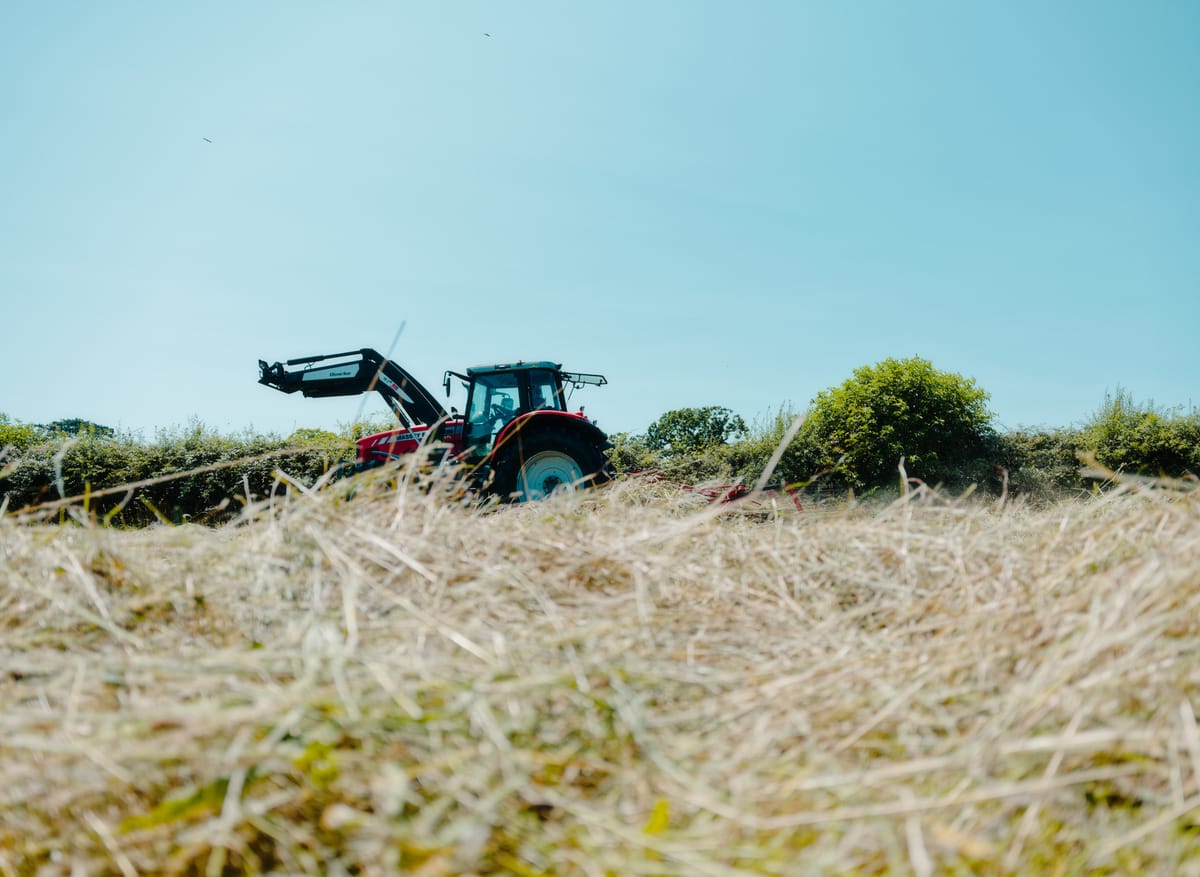 Harvest Time
