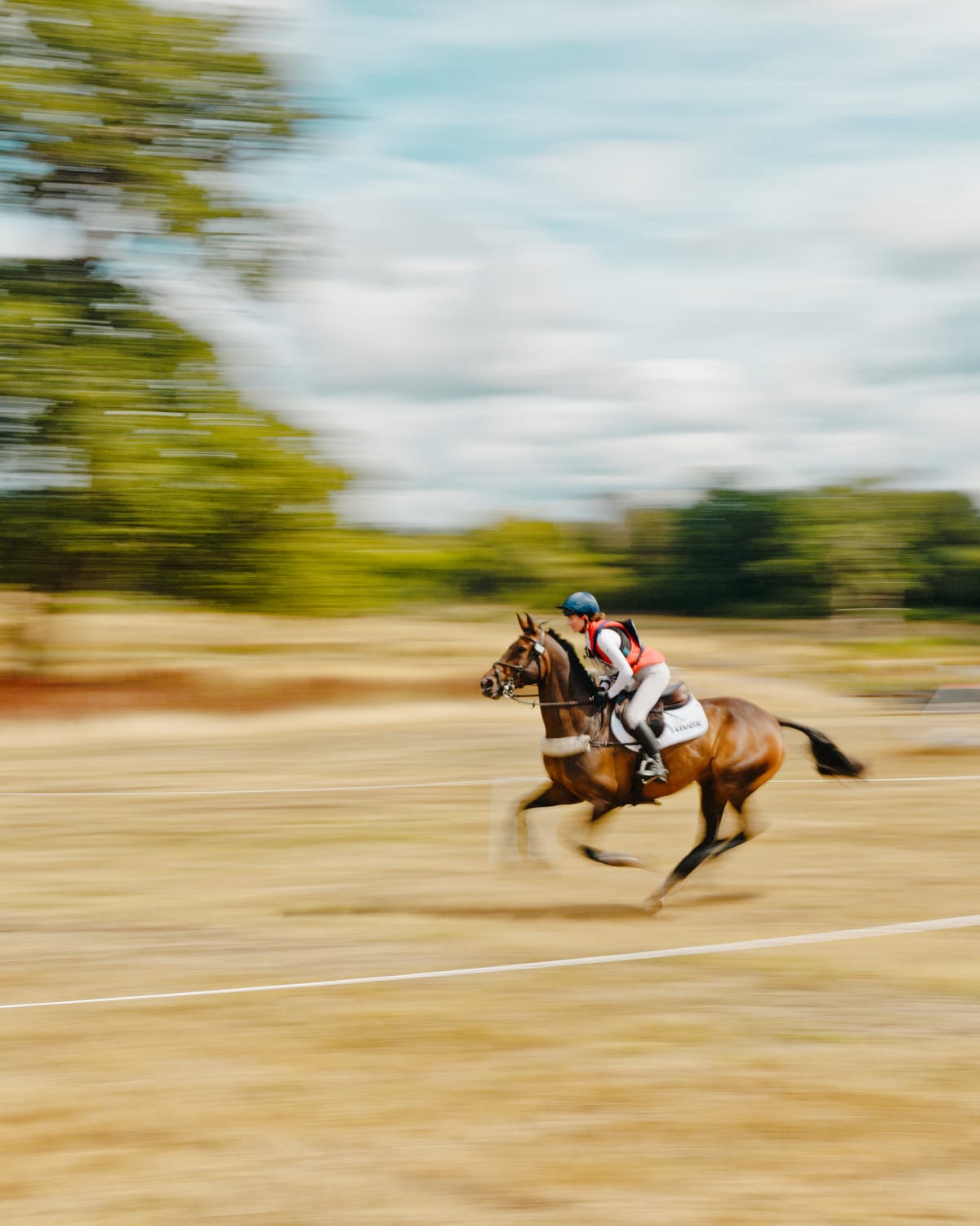 Panning with Fujifilm GFX100RF